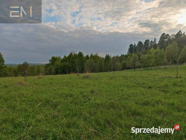 Działka Hadle Kańczuckie 33000m2
