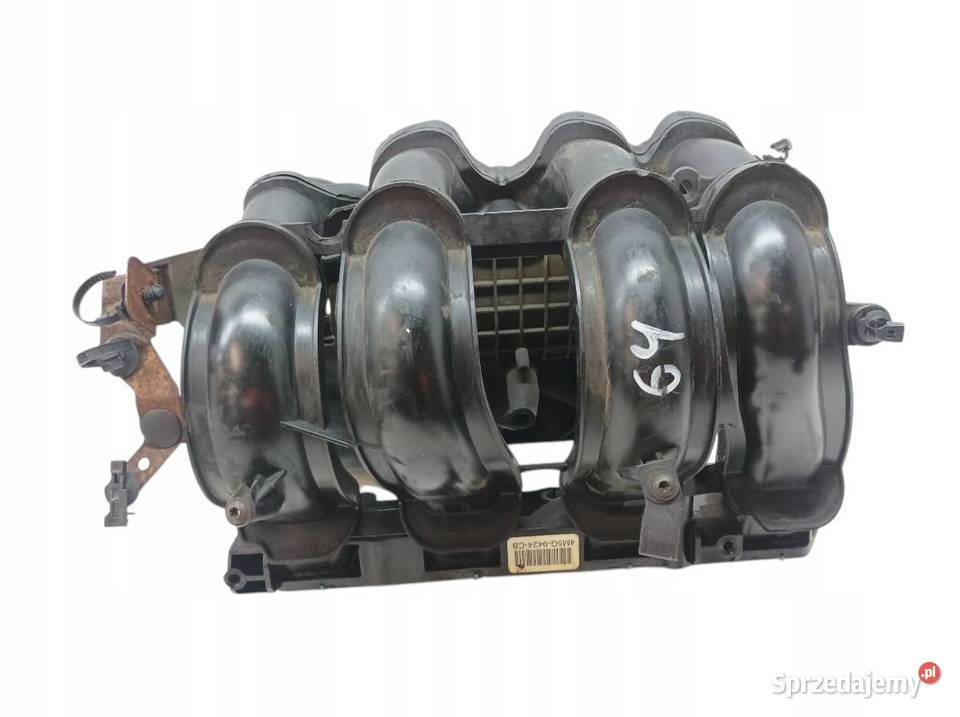 KOLEKTOR SSĄCY 4M5G9424CB 16 16V Ford Focus Mk2 świętokrzyskie