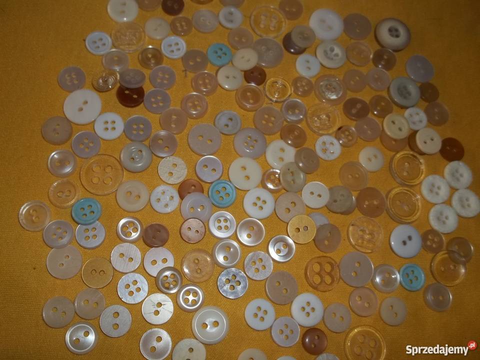 Guziki różne rozmiary i kolory Łódź