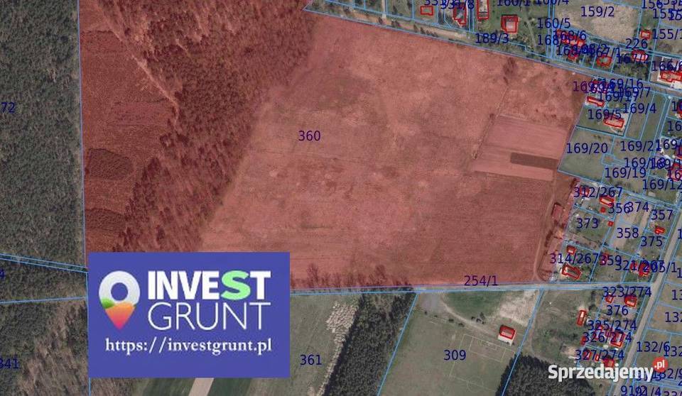 5400 ha przetarg na dzierżawę gruntów rolnych 540000m2 Miłogostowice