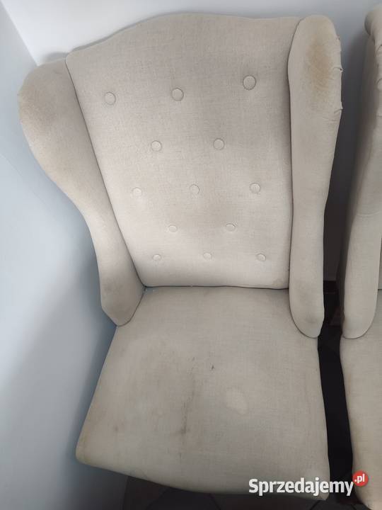 Fotele uszatki pomorskie Malbork