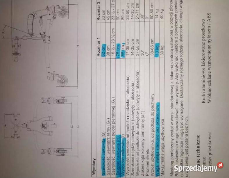 Pionizator mobilny Walker R82 Mustang Wrocław