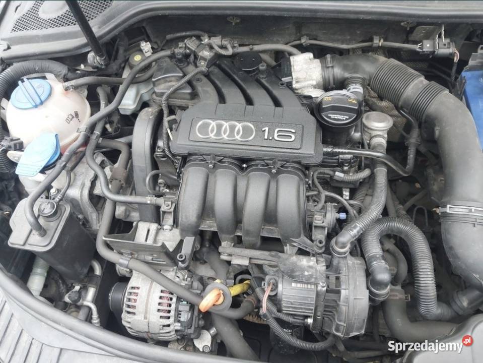 Silnik 16 mpi bse audi a3 skoda octavia II Seat warmińsko-mazurskie