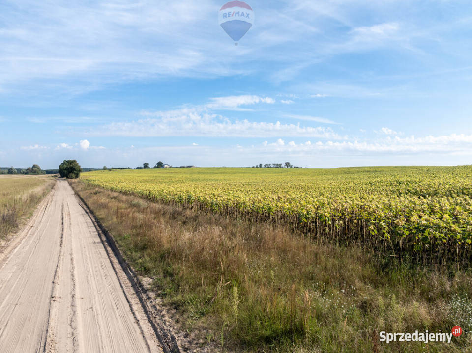 Inwestycyjna rolna działka Łubowice obok