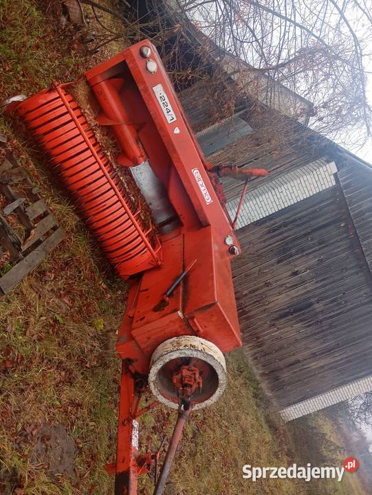 Prasa Sipma mazowieckie Beźnik