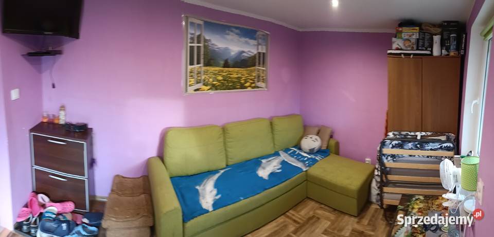 Działka ROD Zacisze Puławy lubelskie