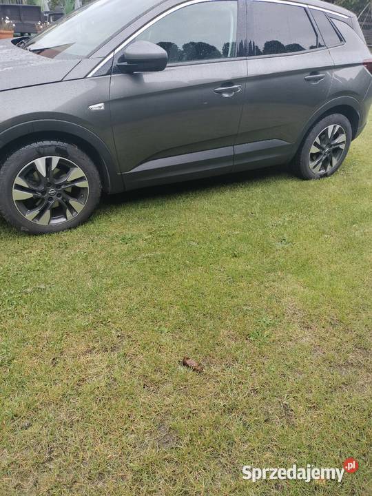 super opel granland x diesel Koluszki