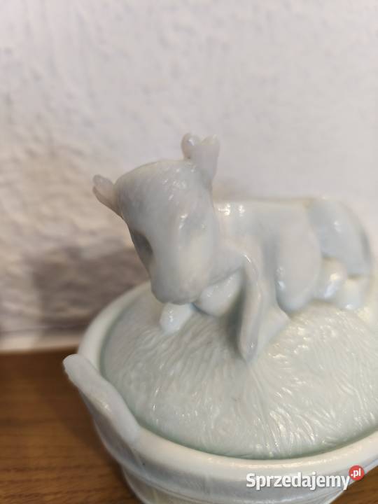 Krowa maselnica lattimo Ząbkowice wielkopolskie Konin sprzedam