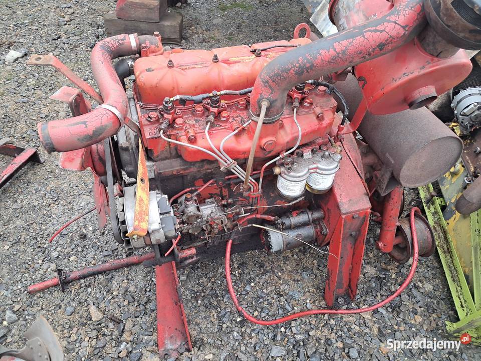 Silnik international case d 239 4 cylindrowy ihc