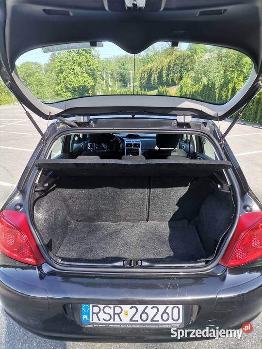 Peugeot 307 16 hdi diesel Brzeziny