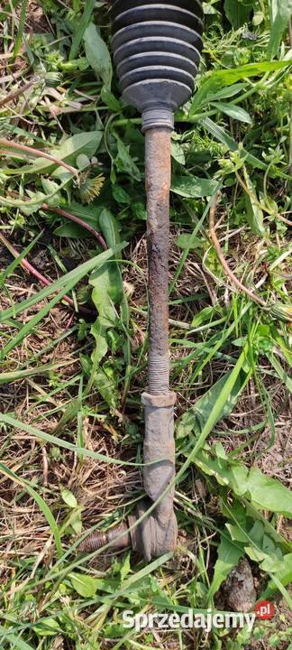 Maglownica golf IV wielkopolskie Rumianek sprzedam