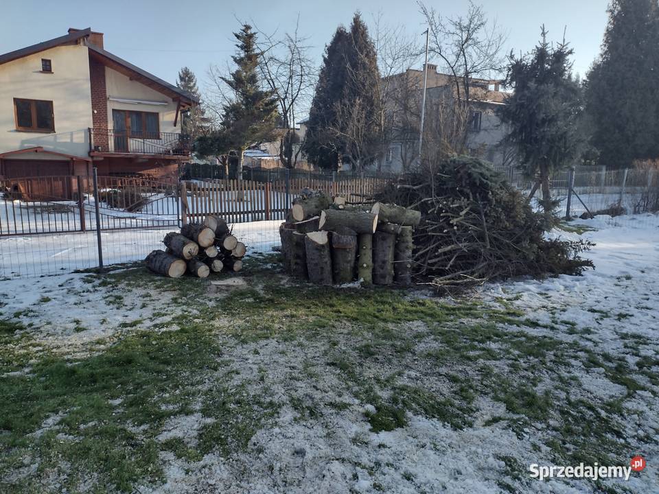Drewno na opał Mysłowice sprzedam