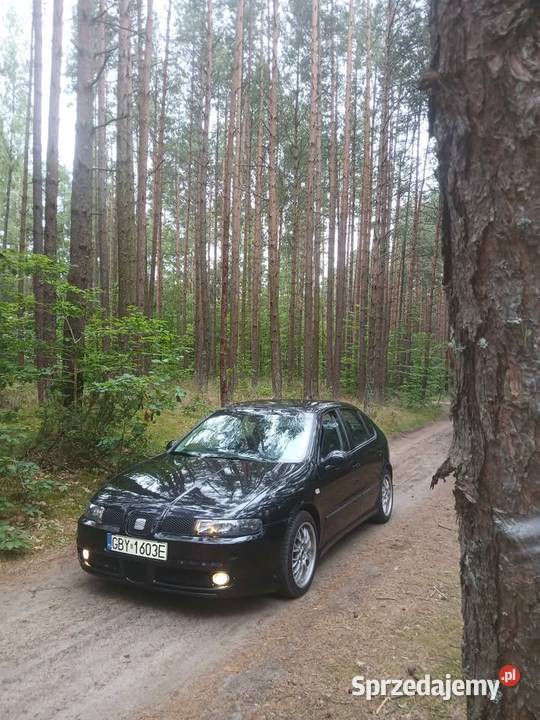 Seat leon 1 nieuszkodzony Sierakowice