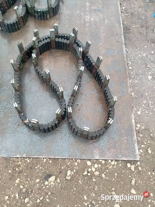 Pas prasy krone krótki 25 Wąbrzeźno