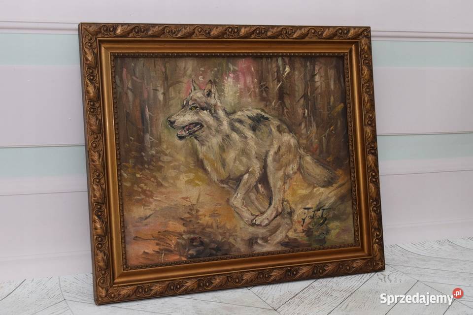 J Fałat Biegnący Wilk Wilczur Natura Polski Kraków sprzedam