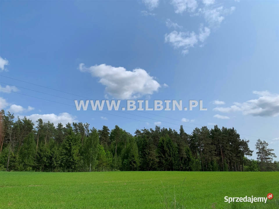 Działka Buda Ruska 10747m2 Sprzedaż