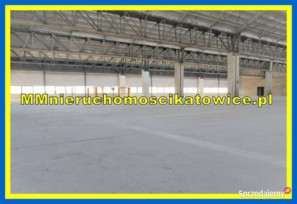 Powierzchnie magazynowe do wynajęcia Będzin 200