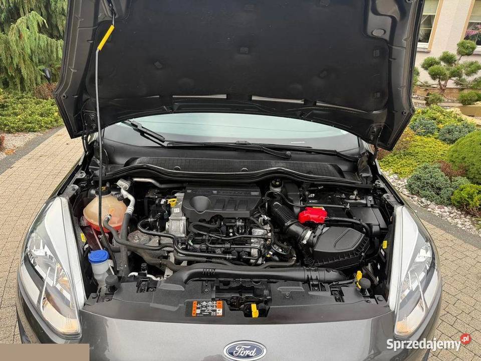 Ford Fiesta 10 EcoBoost Active ASS 95 2021r 95KM Fiesta Krotoszyn