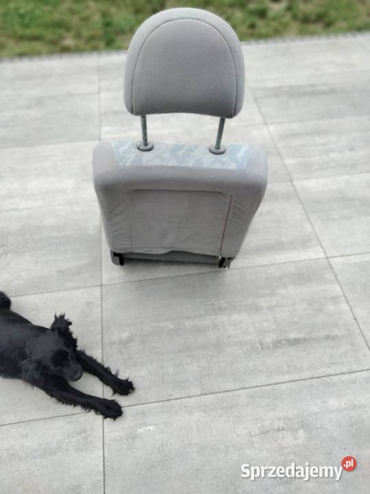 NISSAN PRIMERA P11 LIFT HB fotel prawy pasazera fotele, kanapy Wyposażenie wnętrza Puławy