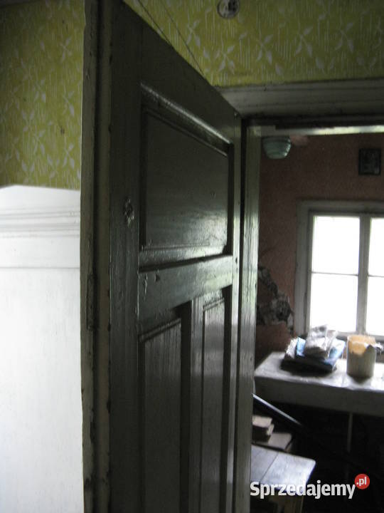 Antyczne drzwi XIX wiek Meble Wieliczka