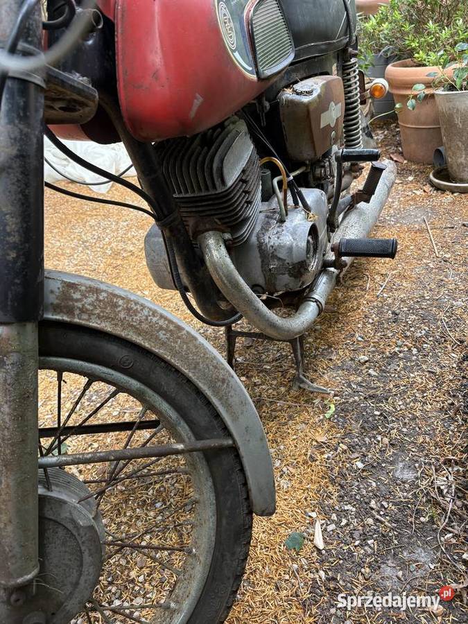 Cz 125 Nowy Dzikowiec