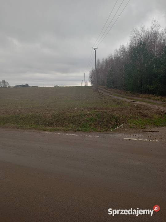 Mława Nowa Wieś 317 ha dobra mazowieckie