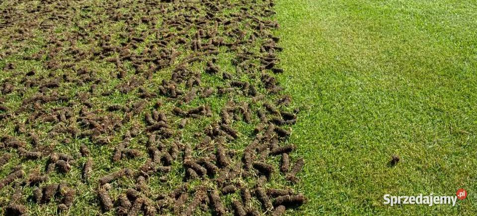 Usługi ogrodnicze wertykulacja aeracja trawnika Pielęgnacja ogrodów i trawników
