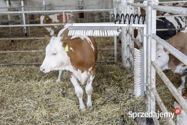 Czochradło bydła kpl Texas 29310 małopolskie Kamionna