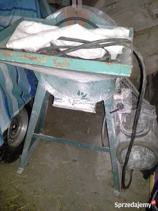 Śrutownik bijakowy bąk kilka sztuk Konina