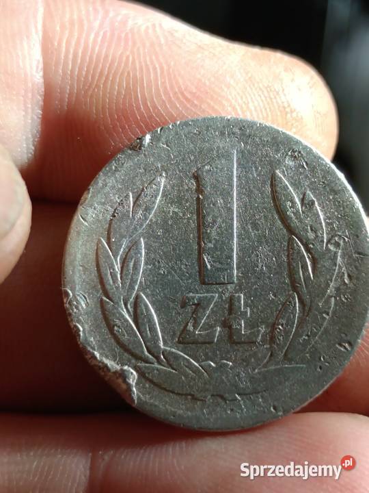 Sprzedam monete 1 zloty 1957 lubelskie Chełm sprzedam