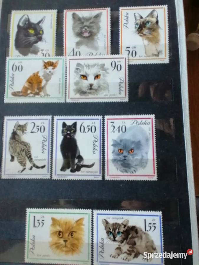 Album ze znaczkami lata 6070 Kraków