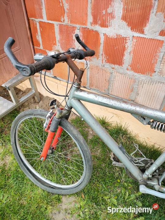 Rower damski męski Pilica
