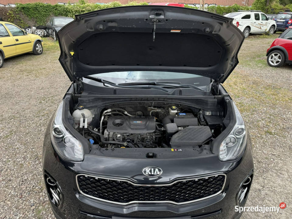 Kia Sportage Szczecin