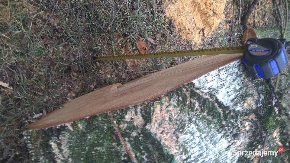 Kłoda brzoza średnica 60 dł320