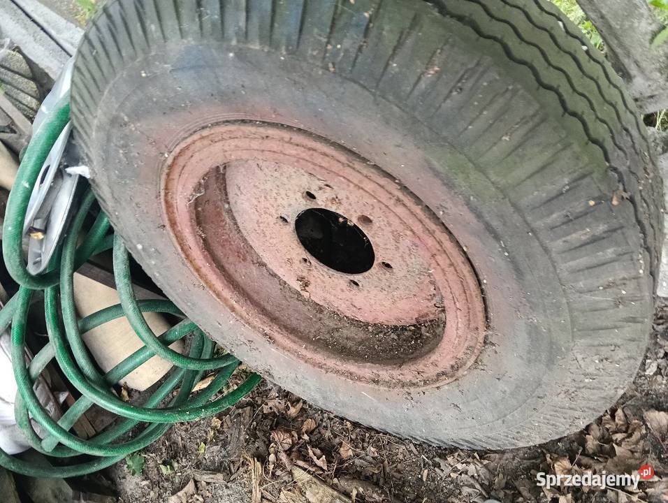 Koło 90020 kujawsko-pomorskie Włocławek sprzedam