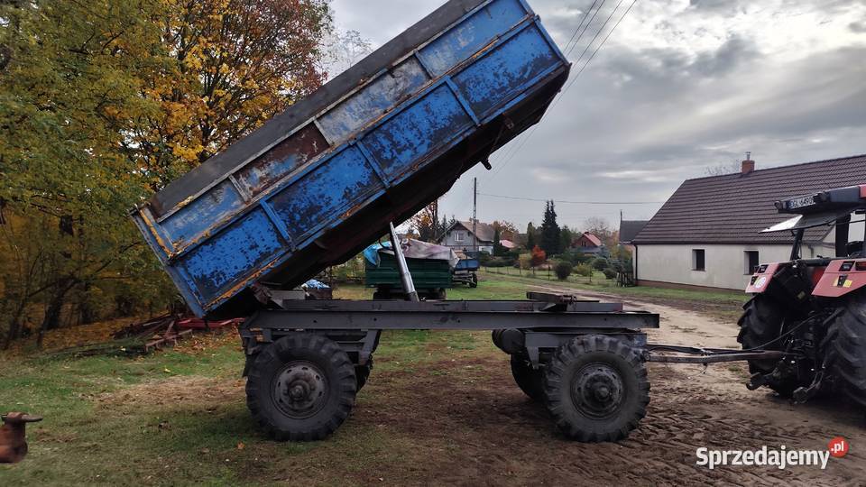 Przyczepa wywrotka D5055 nieuszkodzony Głogów