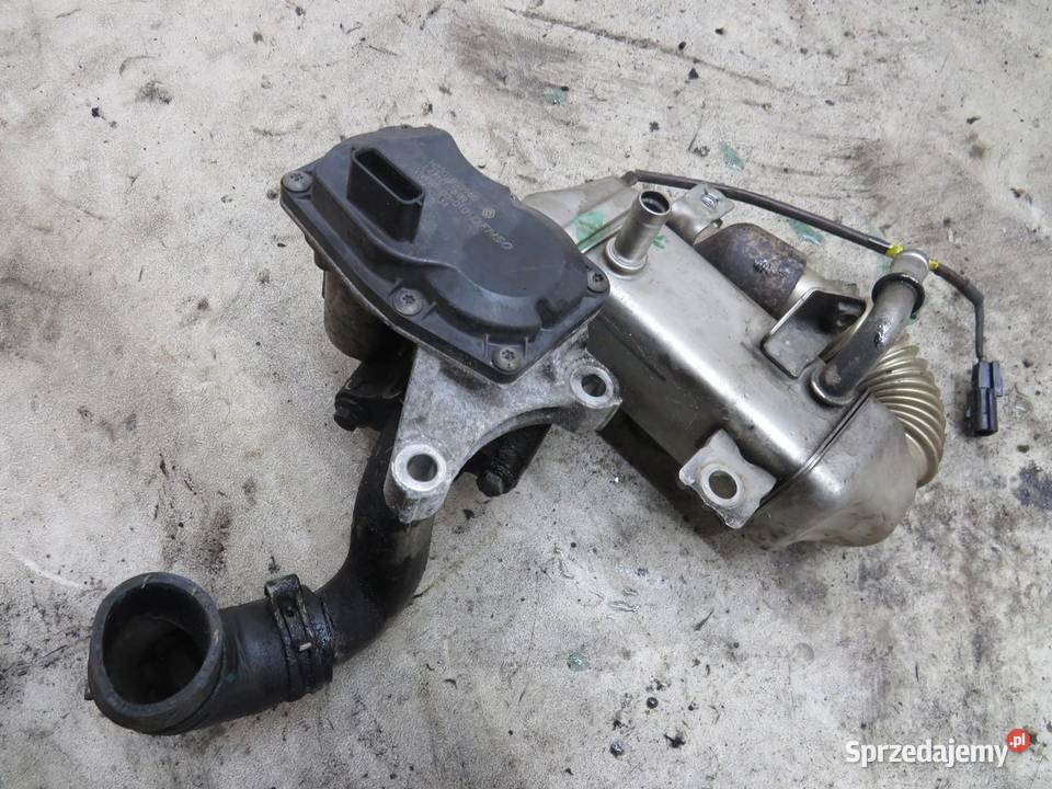 ZAWÓR EGR QASHQAI J10 16 DCI 147100789R osobowe sprzedam
