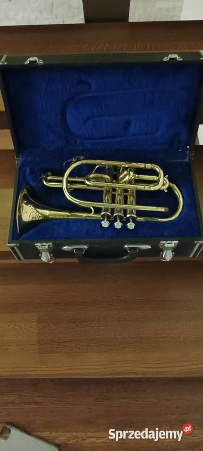 Kornet łódzkie Piotrków Trybunalski