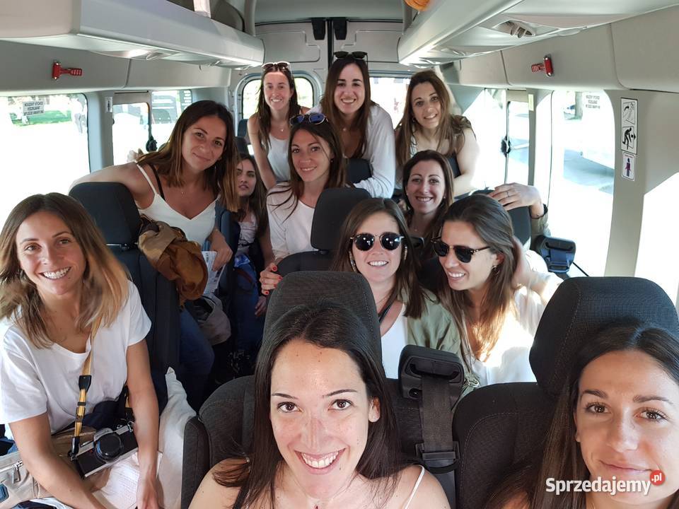 Wynajem busów i Autokarów Katowice VIP BUS śląskie