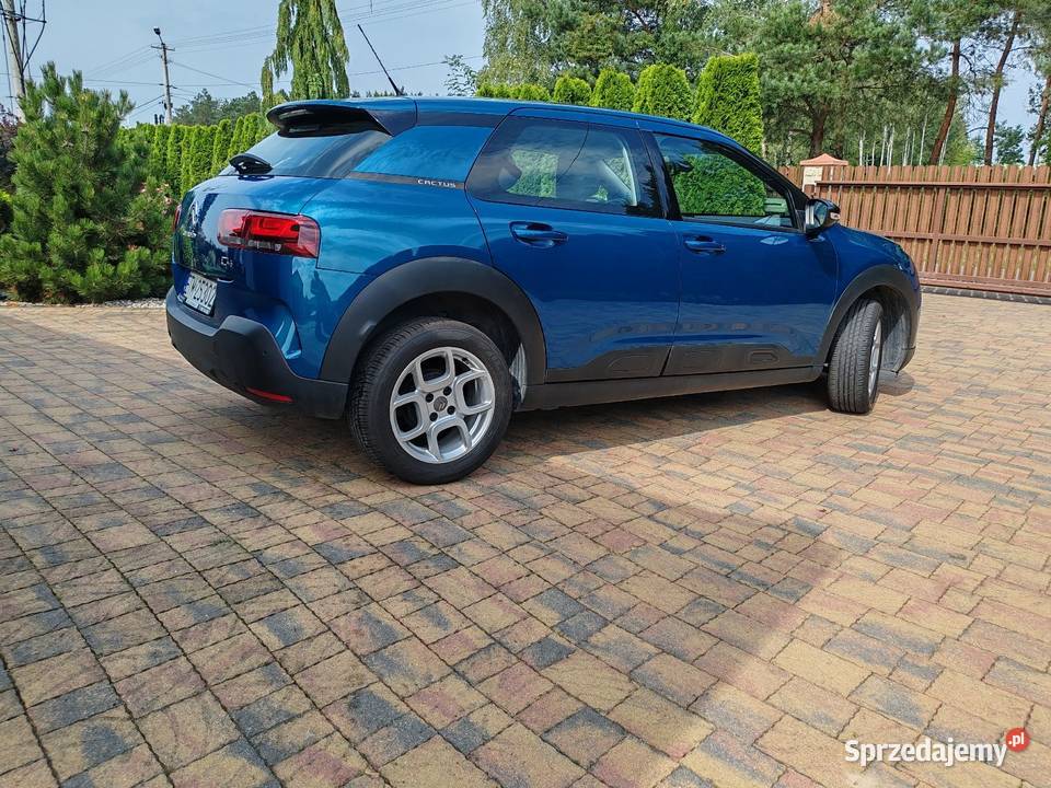 Citroen C4 Cactus C4 Cactus Kolonia Zawada