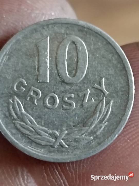 sprzedam 10 gr 1972 zzm Chełm