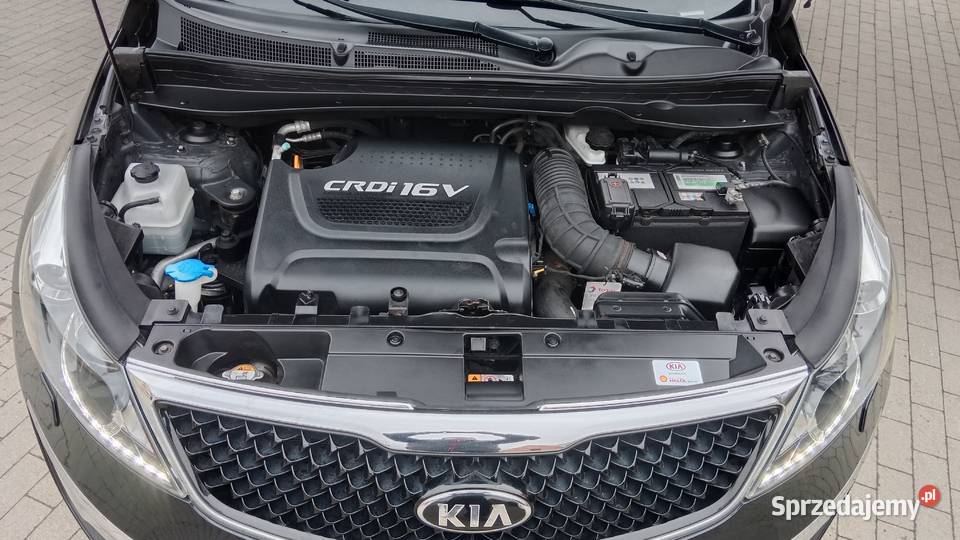 KIA SPORTAGE 20 CRDI LIFT 118 ZAREJESTROWANA dolnośląskie Złotoryja