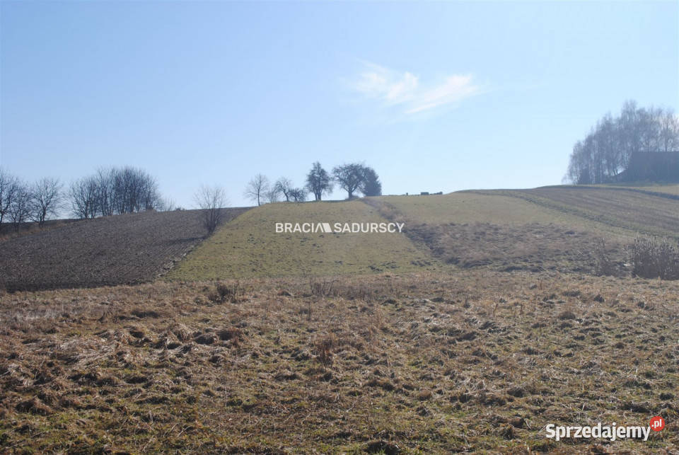 Sprzedaż gruntu Bodzanów 6650 metrów Nieruchomości