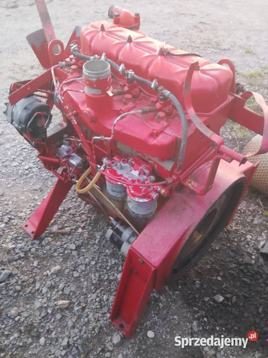 Silnik international case d 239 4 cylindrowy ihc Radom sprzedam