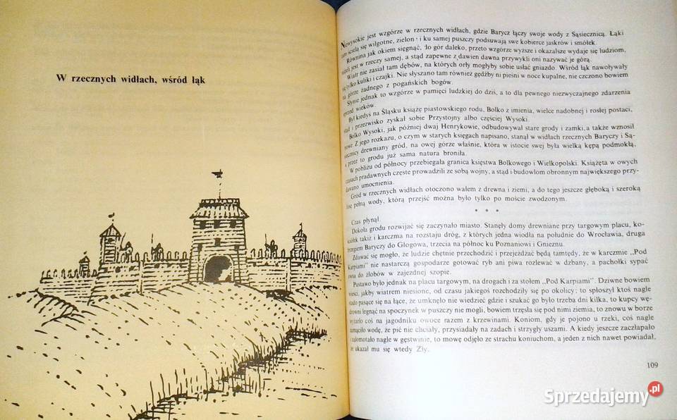 Róże w błękitnym polu Kornelia Dobkiewiczowa Chełm
