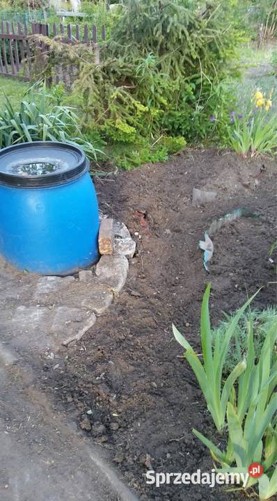 Odstąpię ROD Kolejarz 380m2 Wrocław