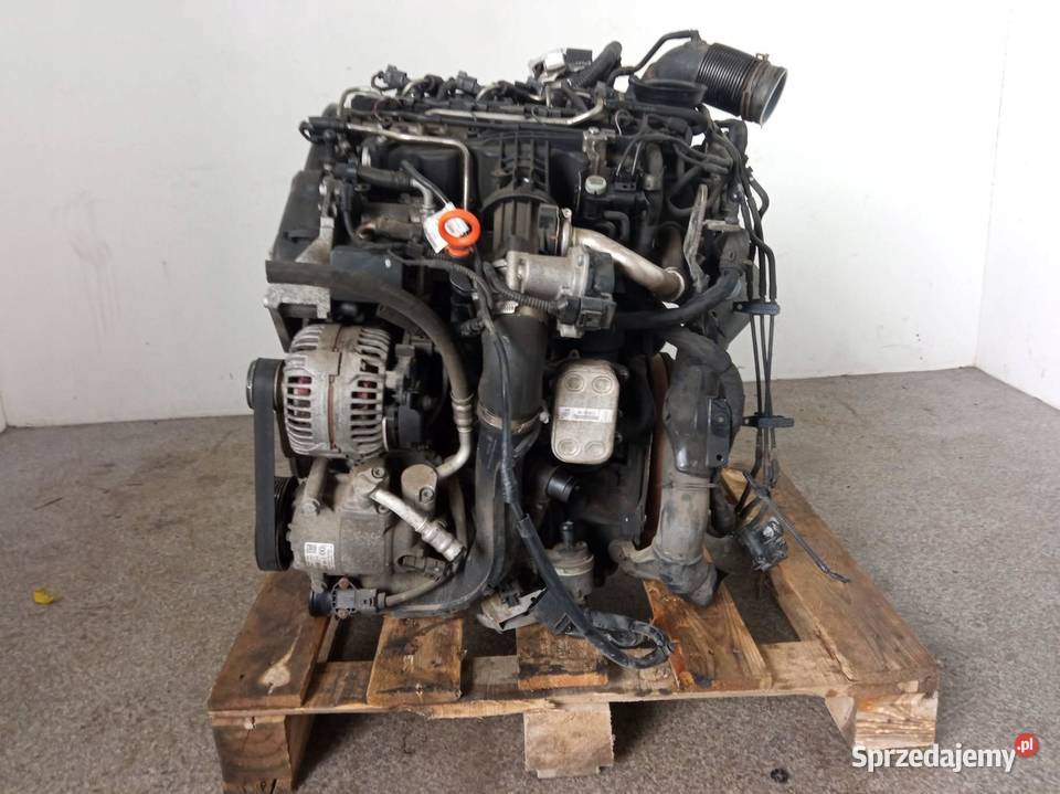 SILNIK KOMPLETNY DIESEL CAY 16 TDI Seat Ibiza IV