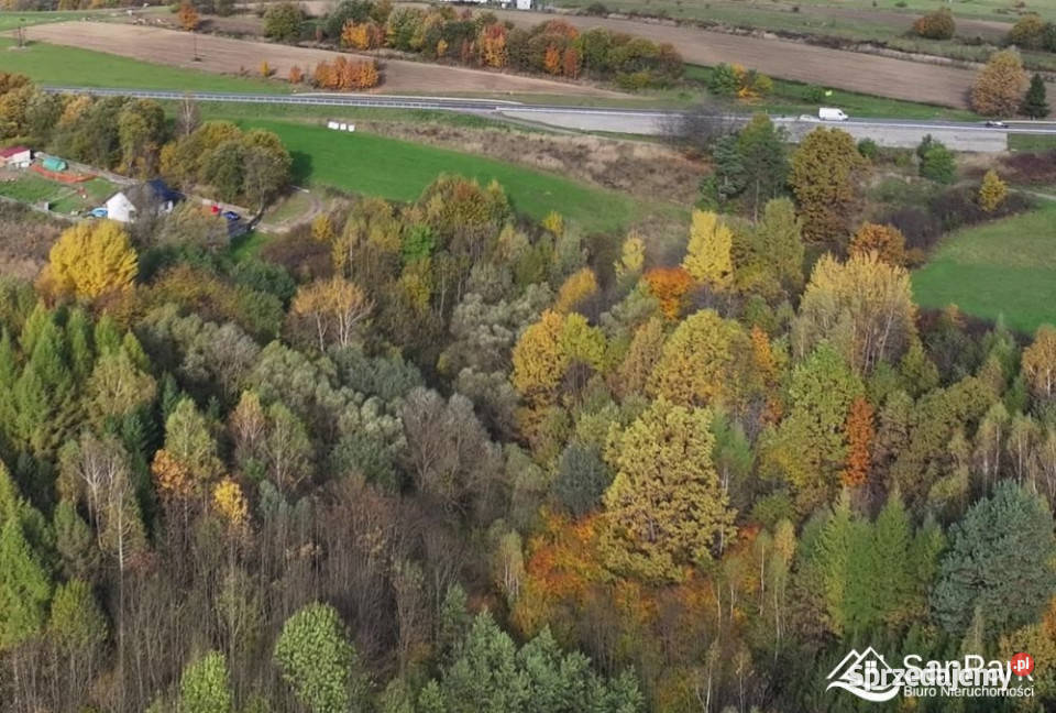 Grunt Lesko 2712m2 sprzedam