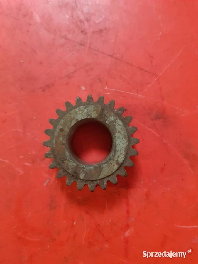 Koło zębate Satelit lubuskie