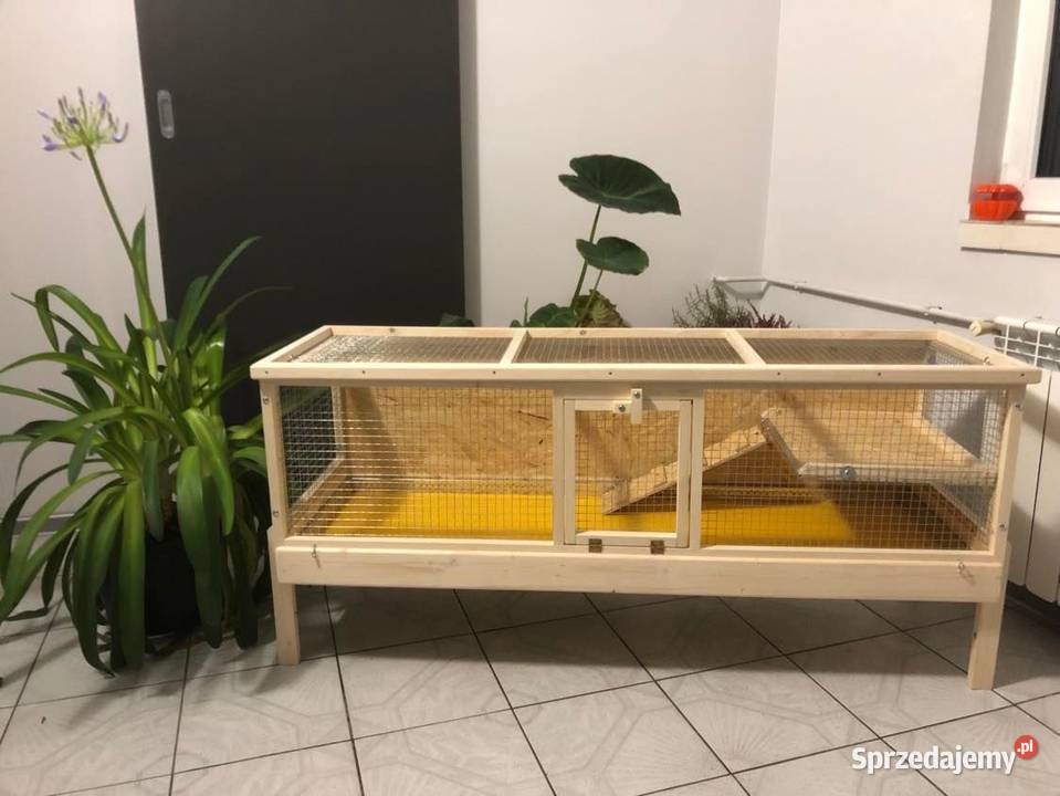 Klatka drewniana zagroda królika świnki morskiej